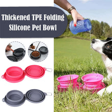 Foldable Double Pet Feeding Bowl