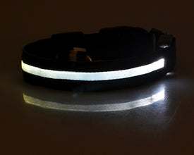 LED Pet Dog Luminous Collar