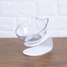 New Inclined Food Pet Bowl