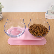 New Inclined Food Pet Bowl