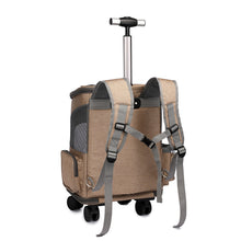 Portable  Cat Folding Trolley Bag