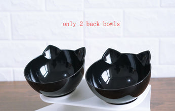 New Inclined Food Pet Bowl