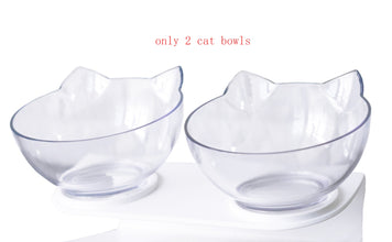 New Inclined Food Pet Bowl