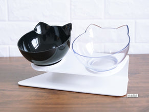 New Inclined Food Pet Bowl