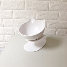 New Inclined Food Pet Bowl