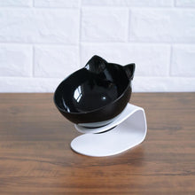 New Inclined Food Pet Bowl