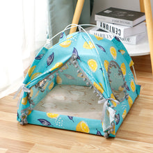 Cat Tent  House