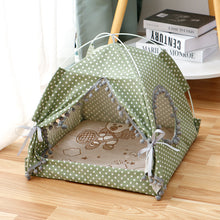 Cat Tent  House