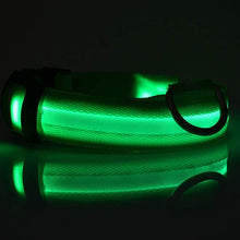 LED Pet Dog Luminous Collar