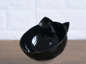 New Inclined Food Pet Bowl