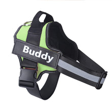 Dog Harness