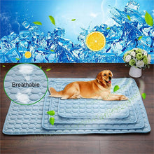 Pet Dog Cat Ice Silk Pad