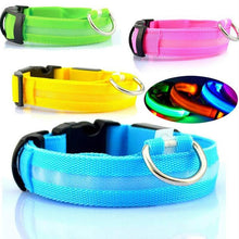 LED Pet Dog Luminous Collar