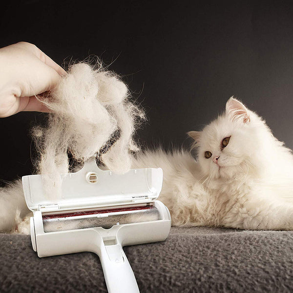 Pet Hair Remover Roller Furniture