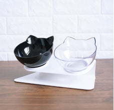 New Inclined Food Pet Bowl