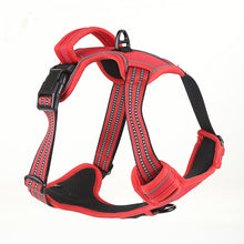 Dog Harness