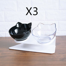 Non Slip Double Cat & Dog Bowl