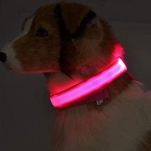 LED Pet Dog Luminous Collar