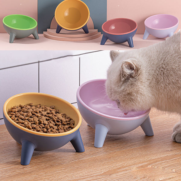 Cat Dog Feeding Bowl