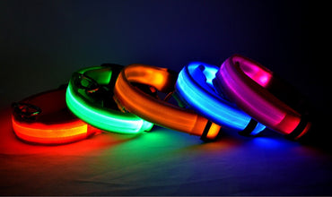 LED Pet Dog Luminous Collar