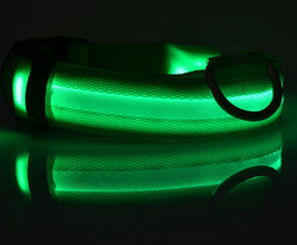 LED Pet Dog Luminous Collar