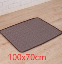 Pet Dog Cat Ice Silk Pad