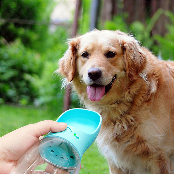 Outdoor Portable Water Bottle