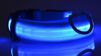 LED Pet Dog Luminous Collar