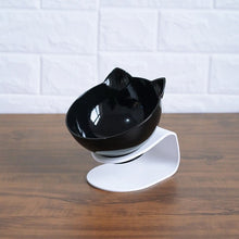 Non Slip Double Cat & Dog Bowl