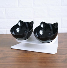 New Inclined Food Pet Bowl