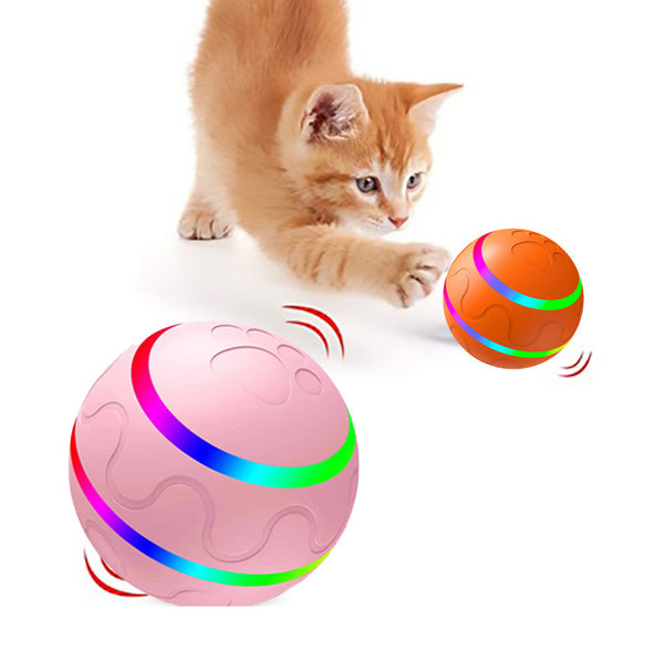 Pet New Cat Wicked Ball Toy