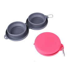 Foldable Double Pet Feeding Bowl