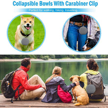 Foldable Double Pet Feeding Bowl