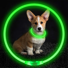 Pet Dog Flashing Collar