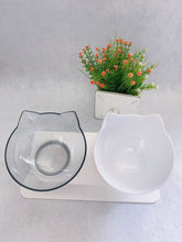 Non Slip Double Cat & Dog Bowl