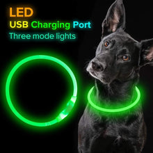 Pet Dog Flashing Collar