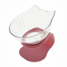 Non Slip Double Cat & Dog Bowl