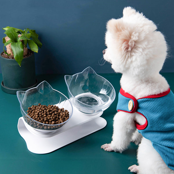 New Inclined Food Pet Bowl