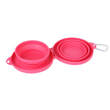 Foldable Double Pet Feeding Bowl