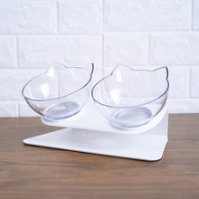 Non Slip Double Cat & Dog Bowl