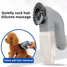 Electric Pet Hair Massage