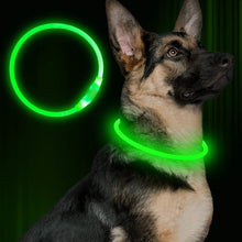 Pet Dog Flashing Collar