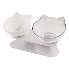 New Inclined Food Pet Bowl