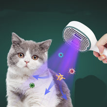 Hair Brush For Cat & Dog