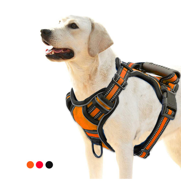 Dog Harness