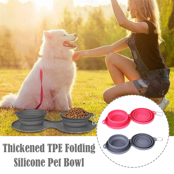 Foldable Double Pet Feeding Bowl