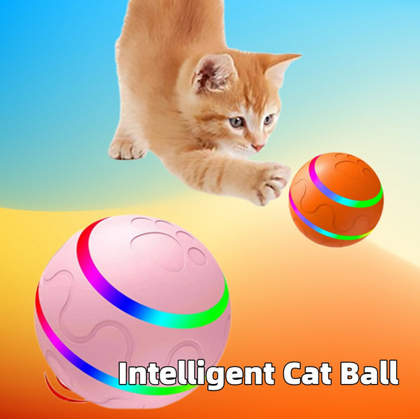 Pet New Cat Wicked Ball Toy